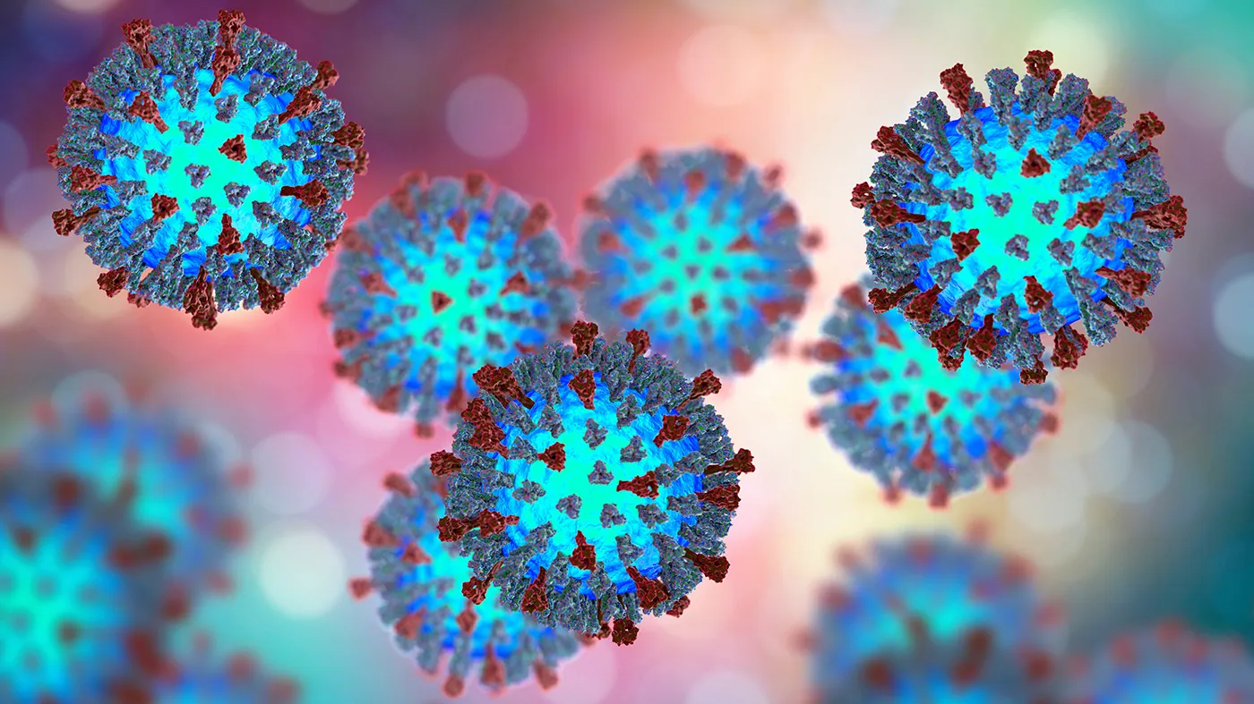 Measles Virus