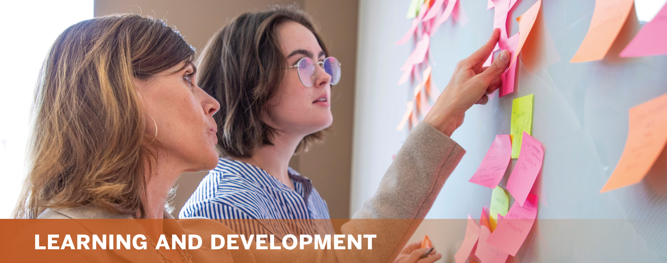 Learning and Development