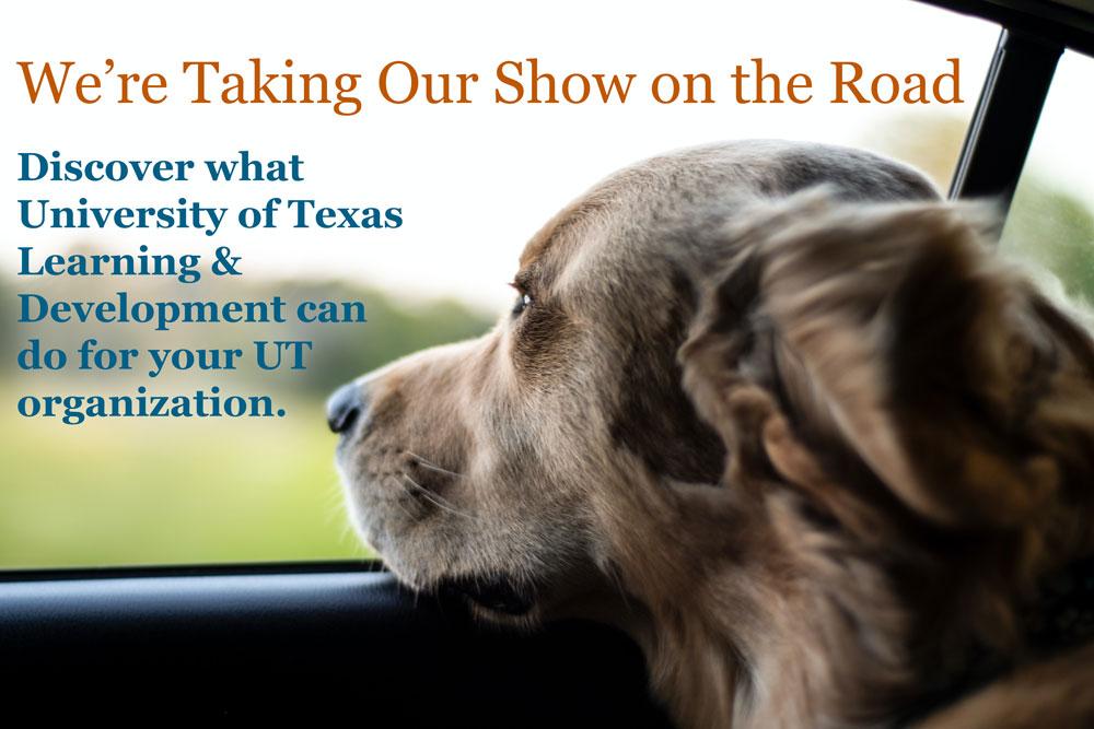 picture of a dog looking out a car window with the words "we're taking our show on the road. discover what University of Texas Learning & Development can do for your UT organization.