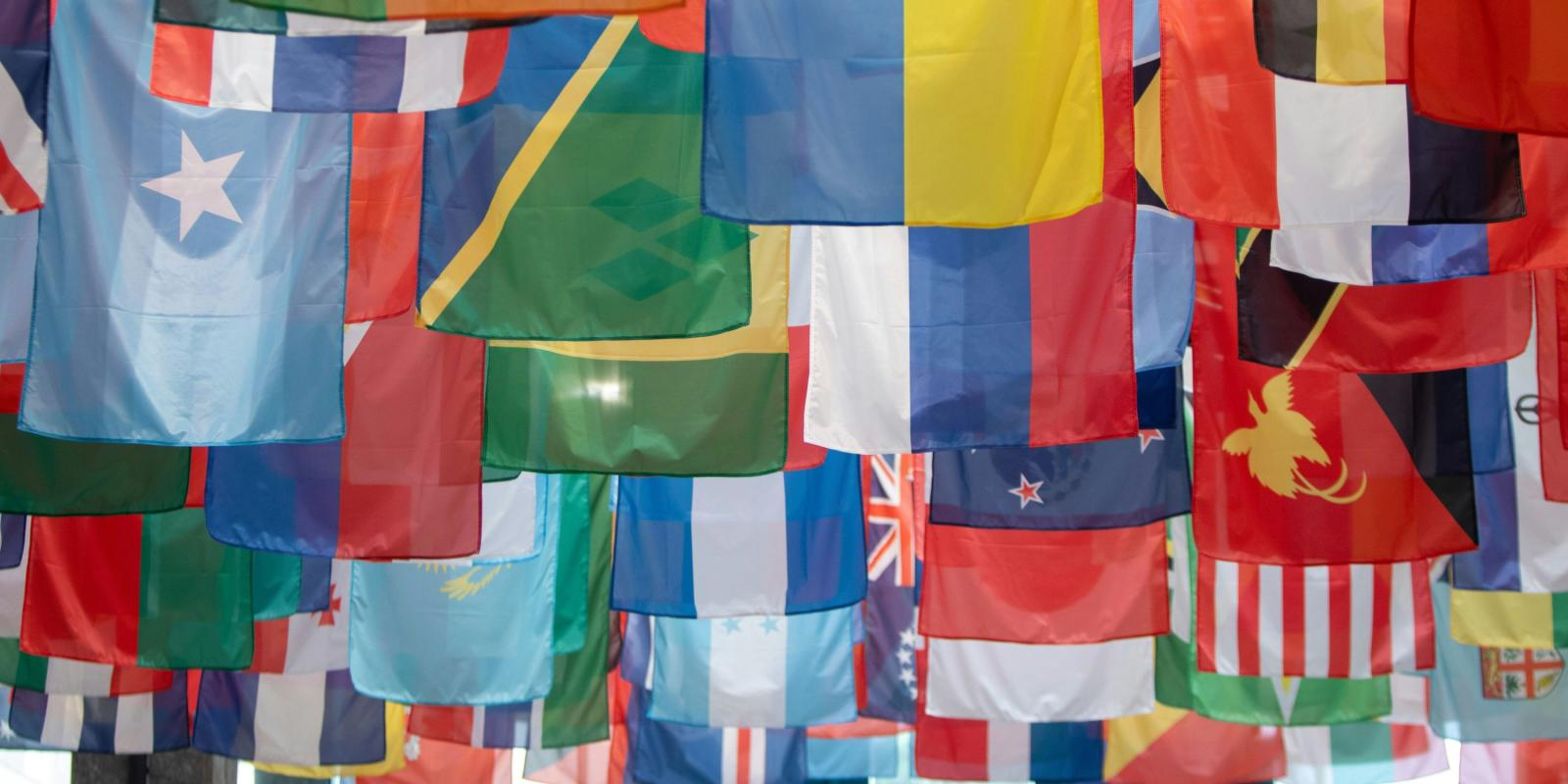 picture of various countries flags hanging outside with a sky background