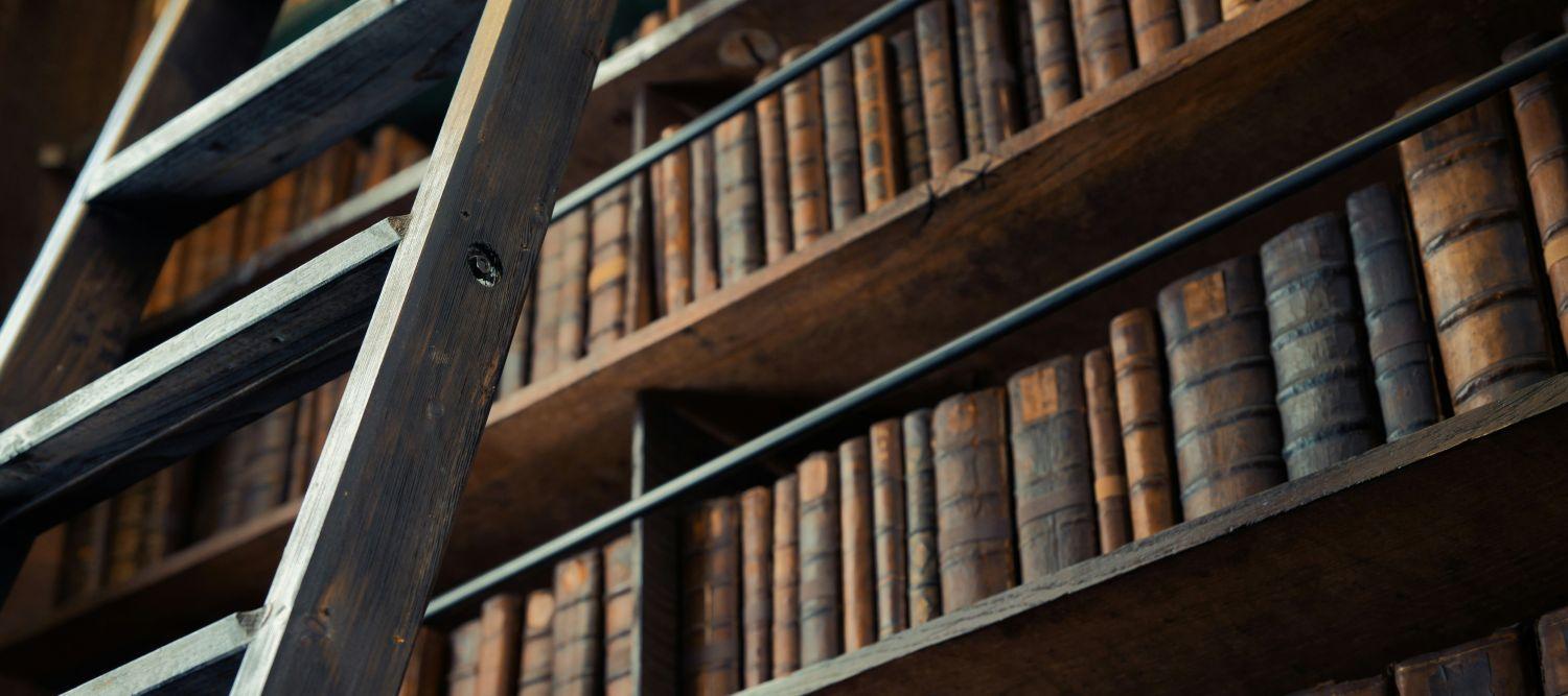 picture of a library bookcase with a ladder leaning against the bookcase