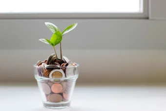 picture of a jar of coins with a plant in it