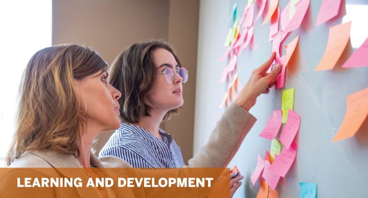 Learning and Development, two staff members looking at a board with sticky notes