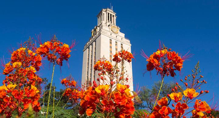 Tower and orange flowers-Pride of Barbados